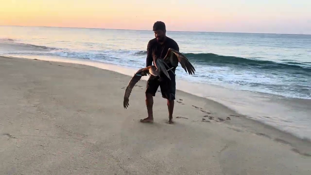 Captura Inesperada 