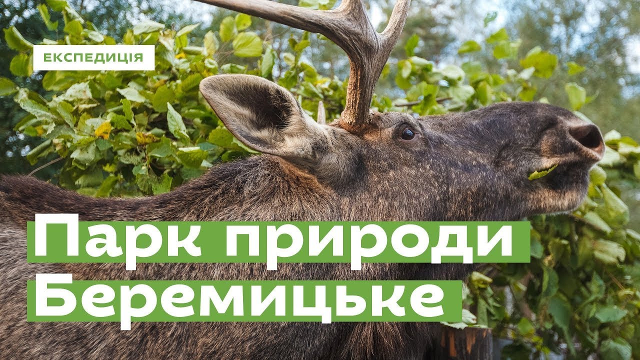 Беремицьке. Відновлювати природу • Ukraïner