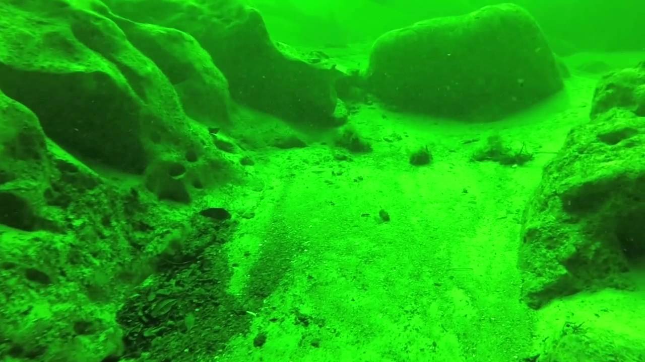 Troy Springs