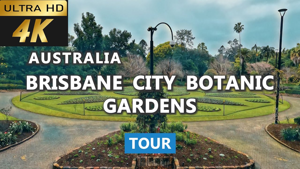 [4k] Brisbane City Botanic Gardens Tour | Brisbane Botanic Gardens | Brisbane Travel Guide