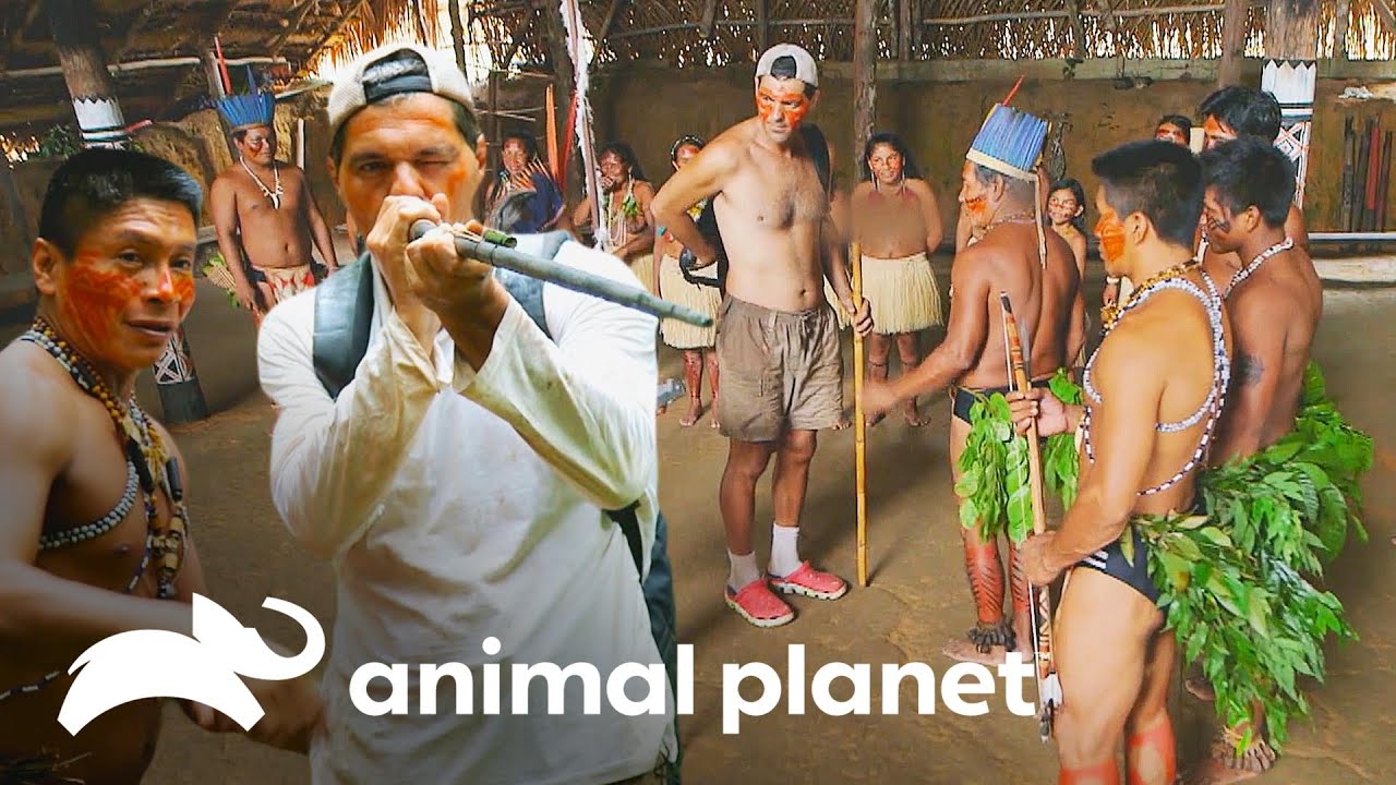 Frank comparte con una tribu amazónica | Wild Frank | Animal Planet