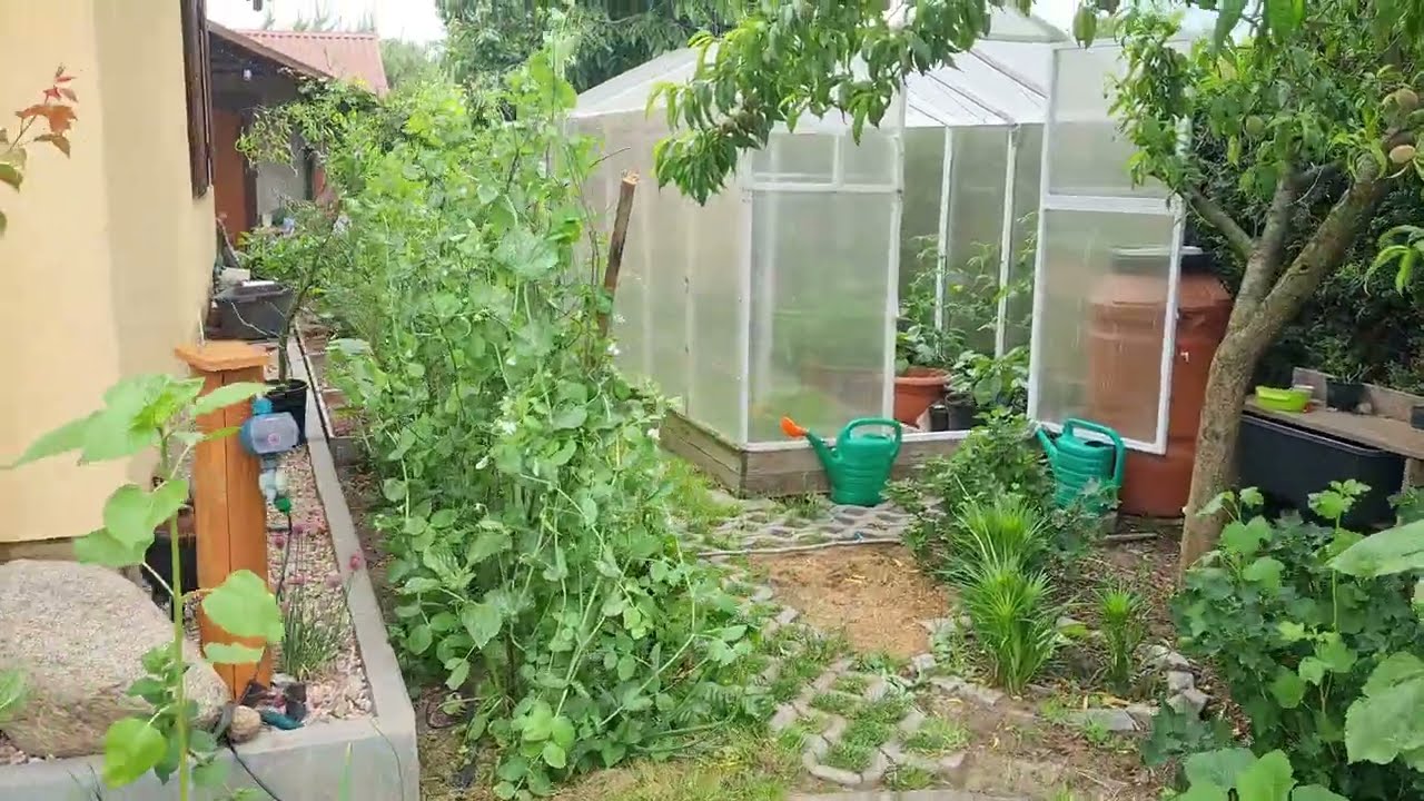 Spóźniony przegląd ogrodu. Ważne że grad nie zniszczył...
