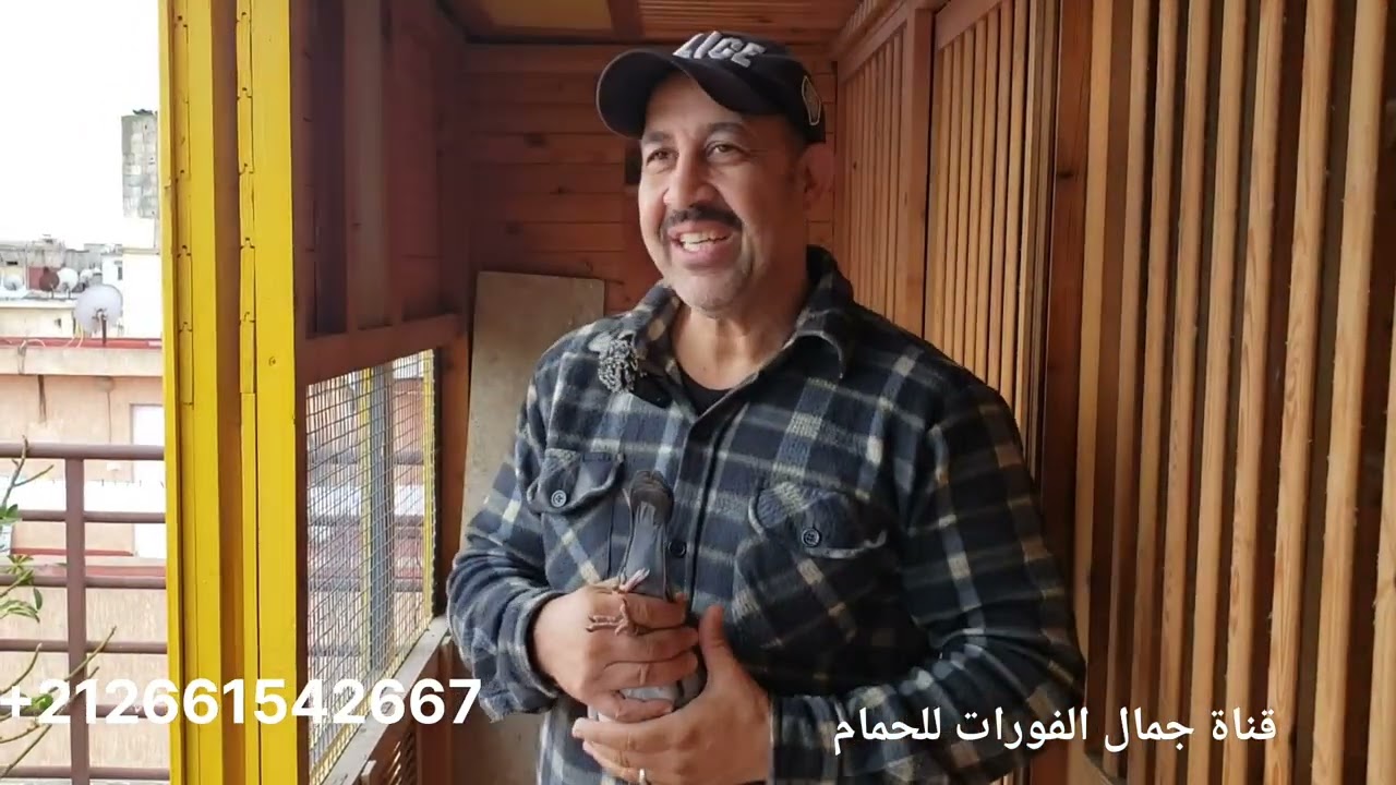 زيارة عند البطل فاهيم مصطفى تعريف بسلالته ضحكنا شوية نساو الهم وشكرا للجميع