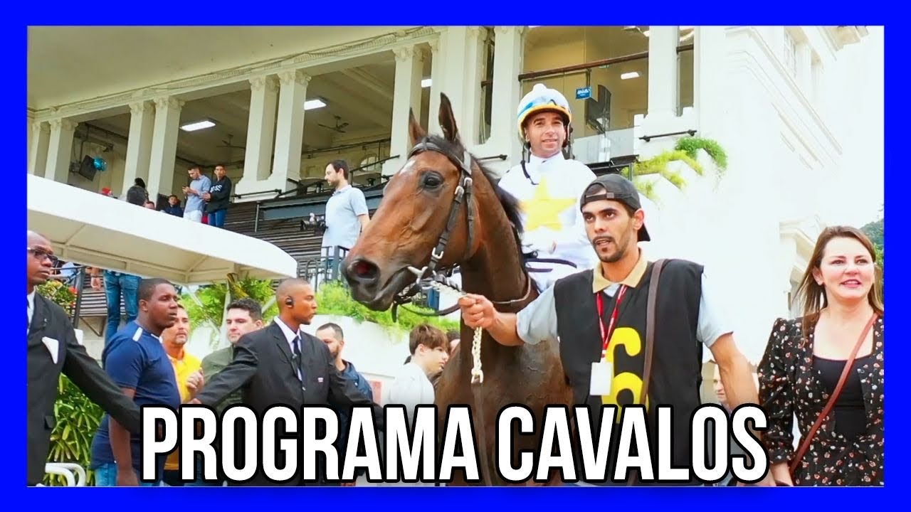 PROGRAMA CAVALOS/ 01 JULHO 2023
