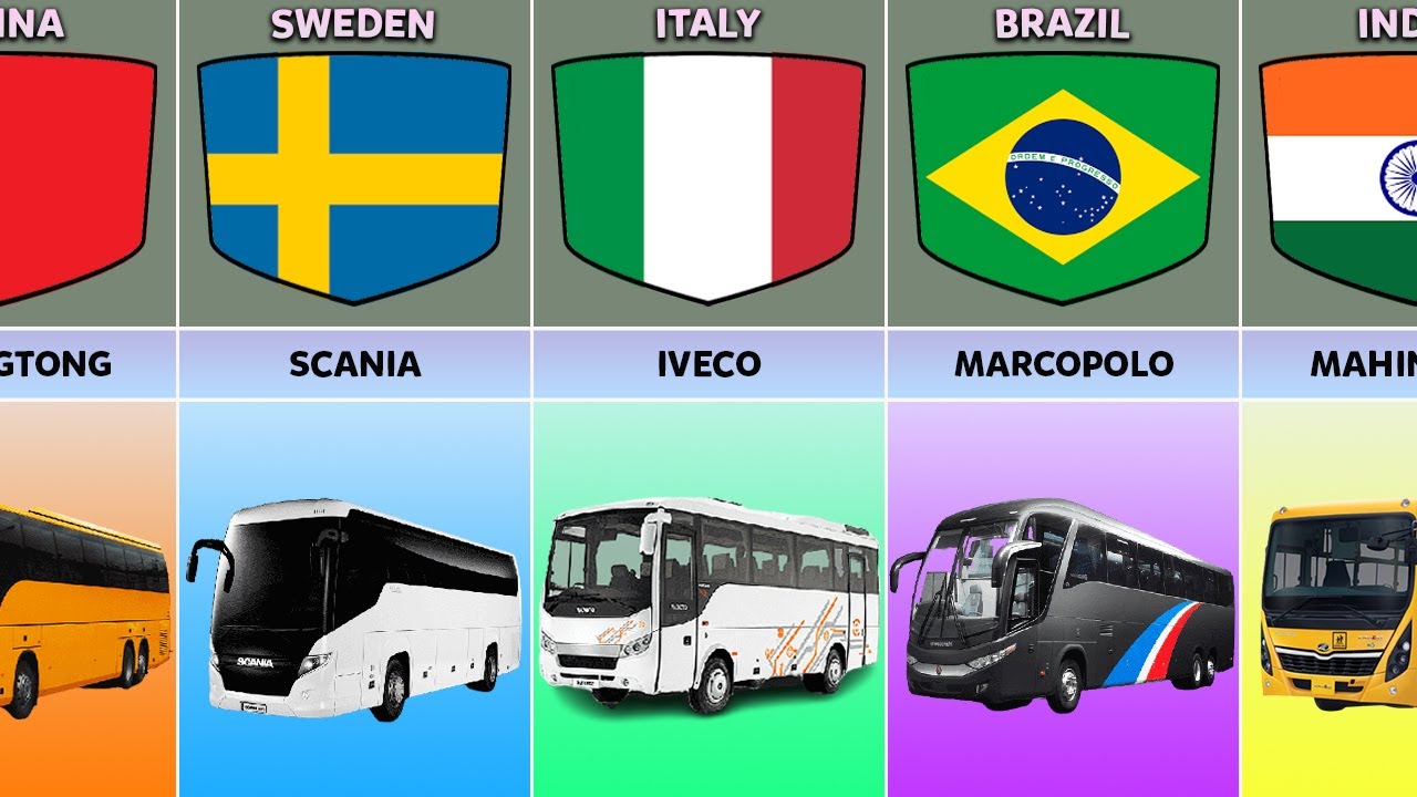 Buses From Different Countries