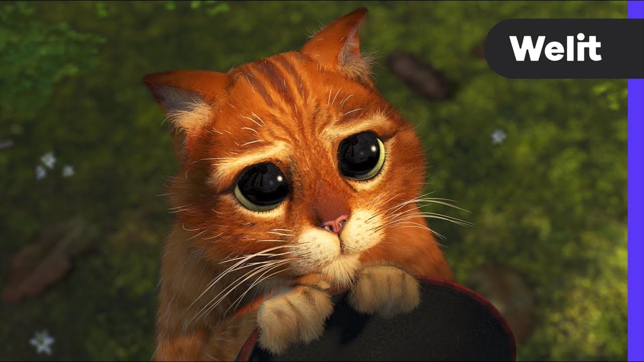 Shrek 2 - Gato con Botas (4/10) Espa&ntilde;ol Latino | Welit