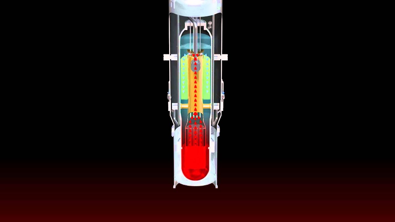 Normal Reactor Operation.mpg