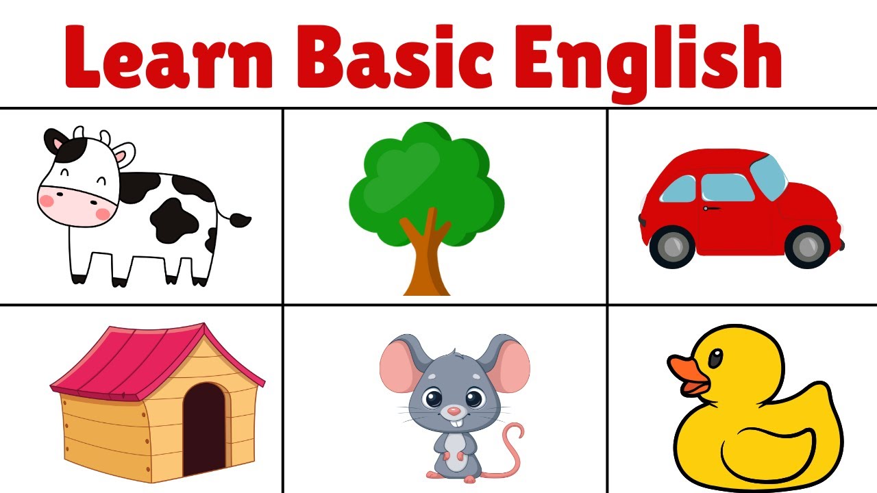 Learn Basic English | English Words | Educational Video for Toddlers | Learning Video |