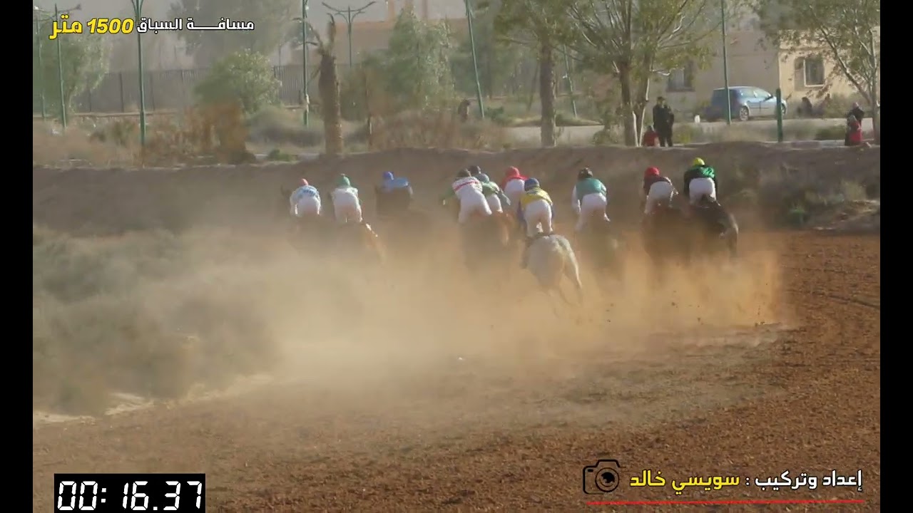 سباق الخيـــــــول الإنجليزيــــة المولــودة في الجزائر ميدان الأغواط ليوم :23.01.2026 🏇🏇