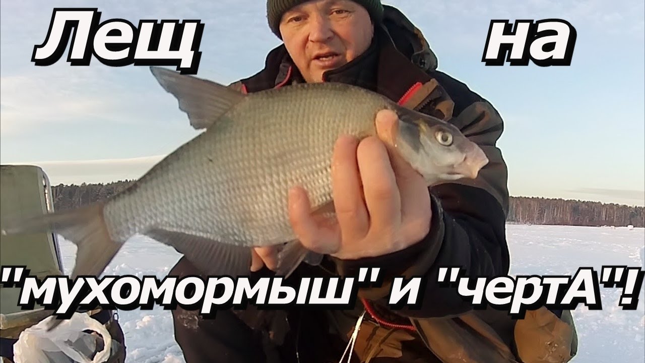 ПашАсУралмашА:-Лещ на 