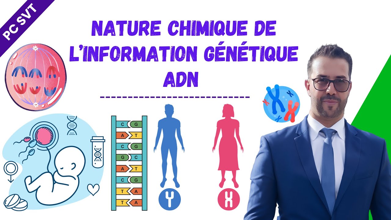 Nature chimique de l’information génétique ADN