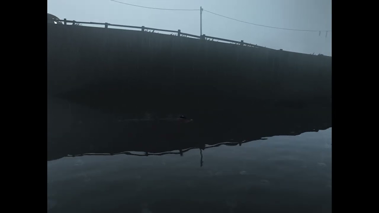 Playdead's Inside - Chapter 1
