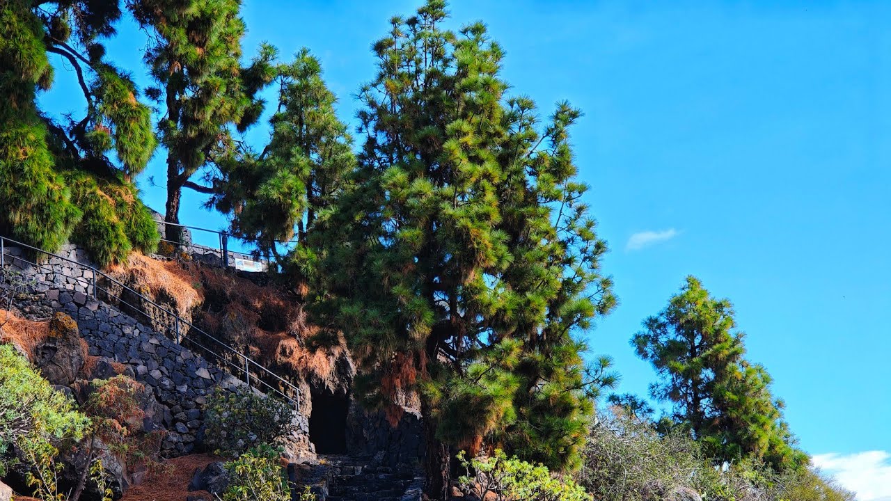 La Palma 2025/3