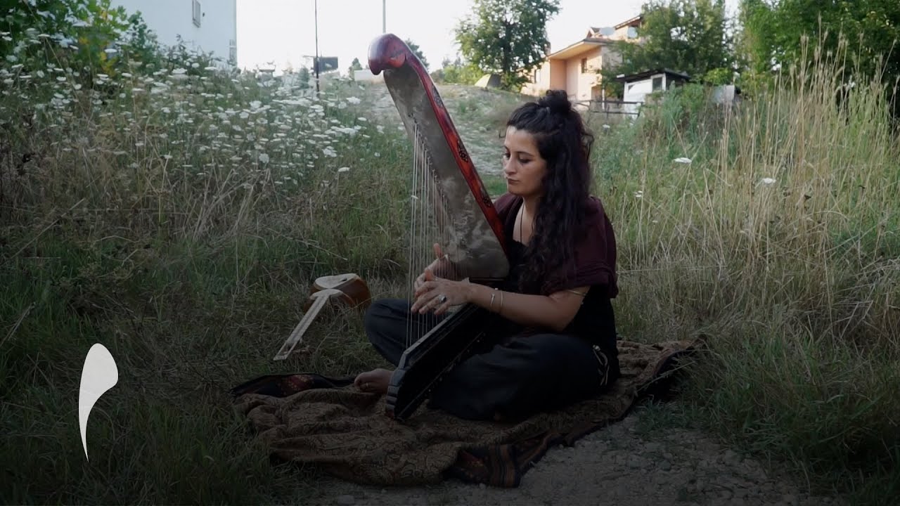 Zainab Lax - Negaresh
