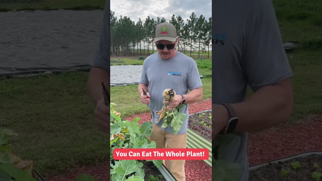 You Can Eat the Whole Plant!