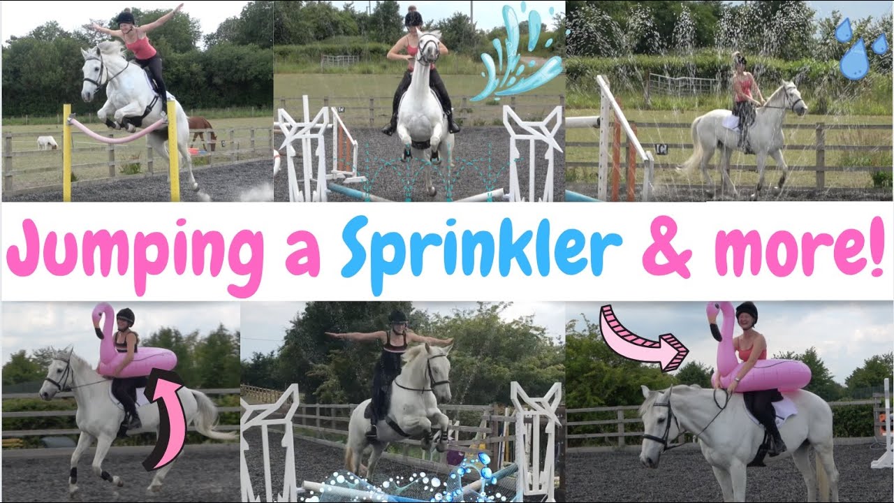 Jumping a sprinkler, riding with a flamingo & more | Jess eq