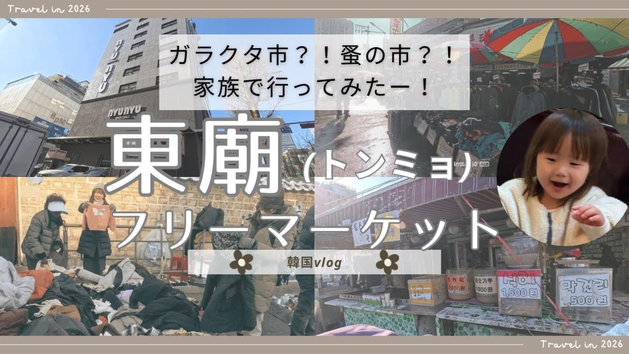 【東大門徒歩10分】jwマリオット東大門スクエアソウルから東廟（ﾄﾝﾐｮ）フリーマーケット Vlog