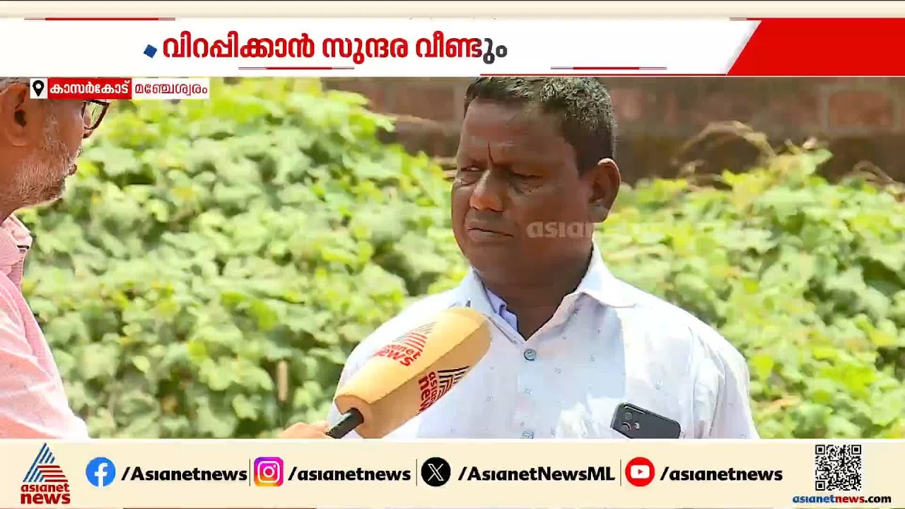 വിറപ്പിക്കാൻ കെ.സുന്ദര വീണ്ടും;  തീപാറുമോ മഞ്ചേശ്വരം പോരാട്ടം?