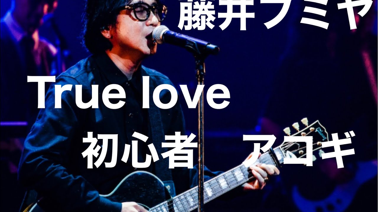 【True Love】藤井フミヤ　初心者　ギターレッスン　アコギ