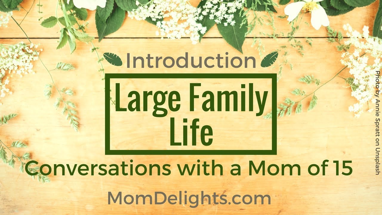 Mom of 15 Talks About Large Family Life