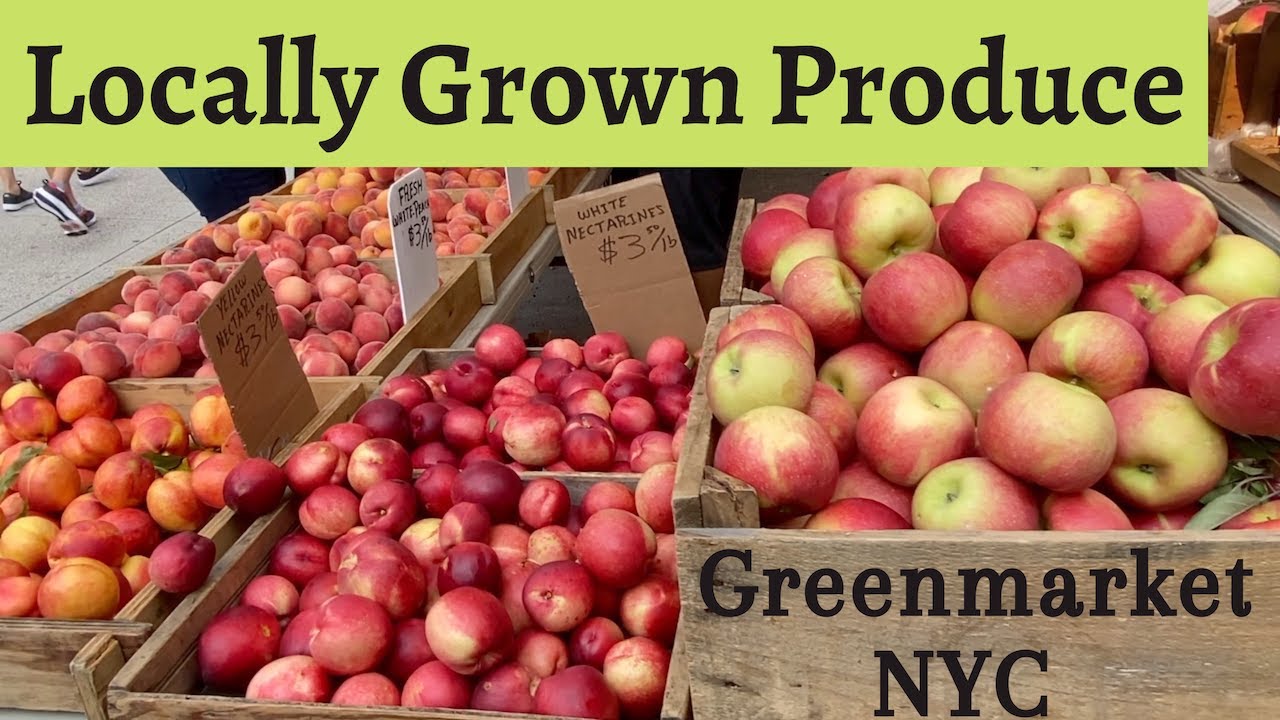 Forest Hills Greenmarket | NYC Farmer's Market | Best Fresh Produce