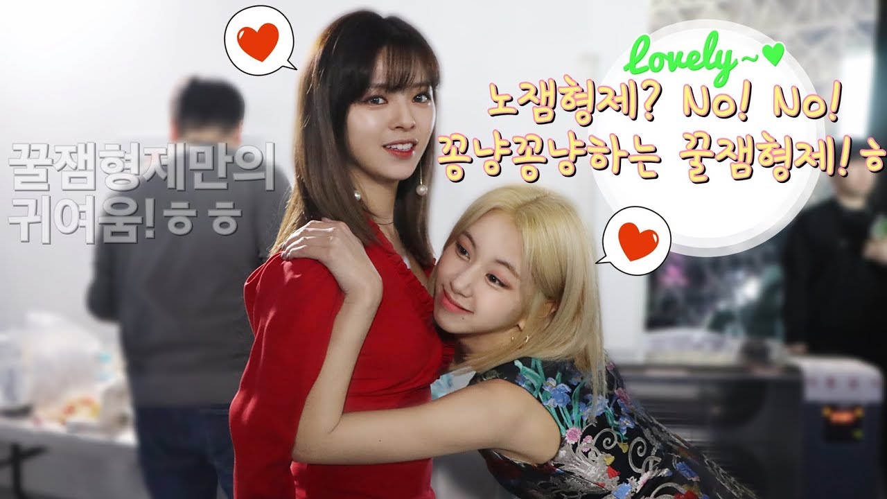 [TWICE] 노잼형제? No! No! 꽁냥꽁냥하는 꿀잼형제!ㅎ(엄예,엄귀!ㅎ)