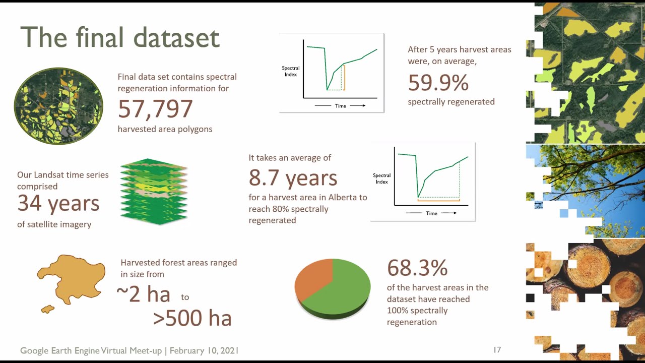 Harvested forest regeneration from space in Alberta, Canada - Jennifer Hird