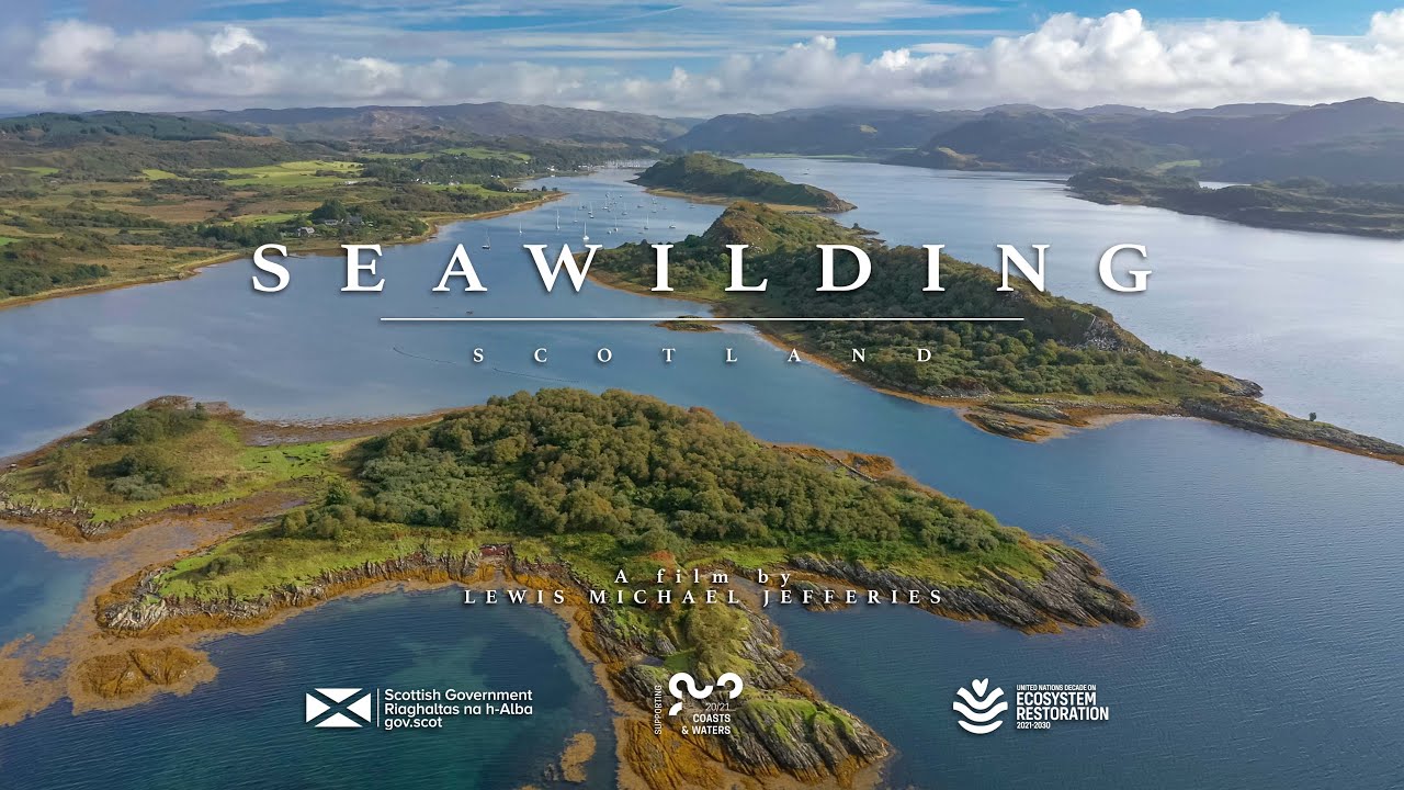 SEAWILDING - Scotland