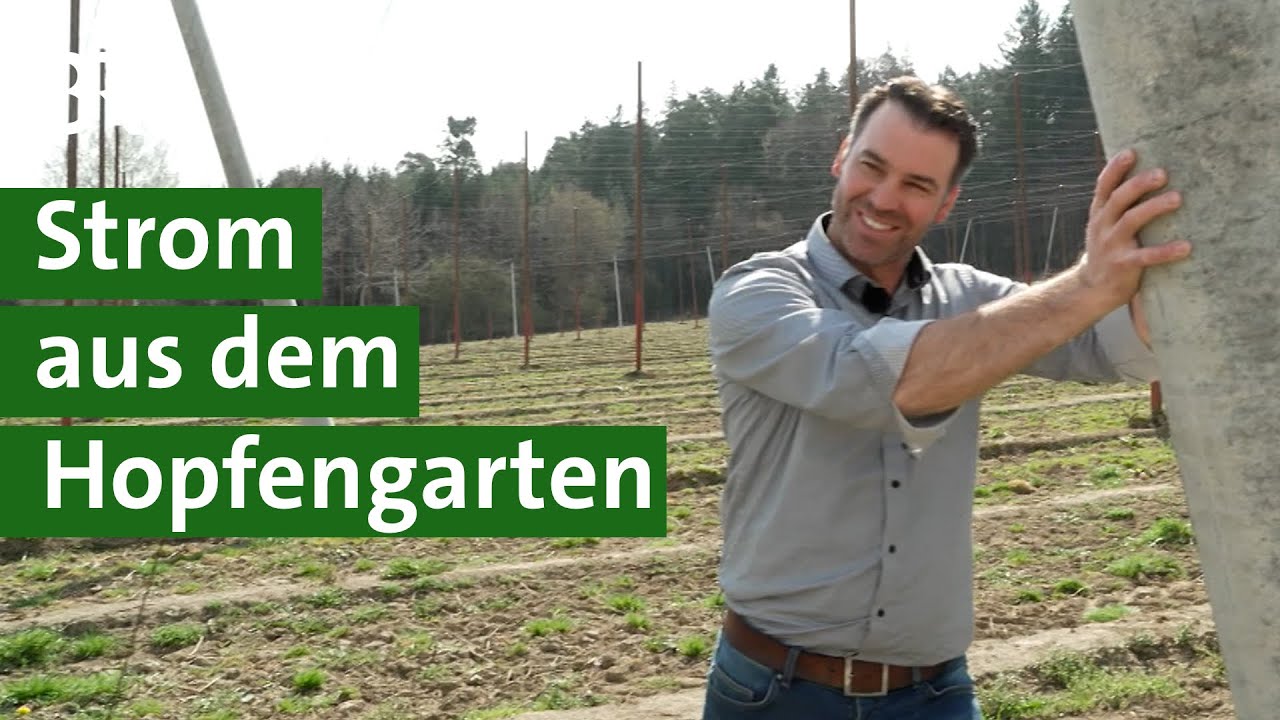 Solarenergie im Hopfengarten: Doppelter Nutzen mit Photovoltaik und Landwirtschaft | Unser Land | BR