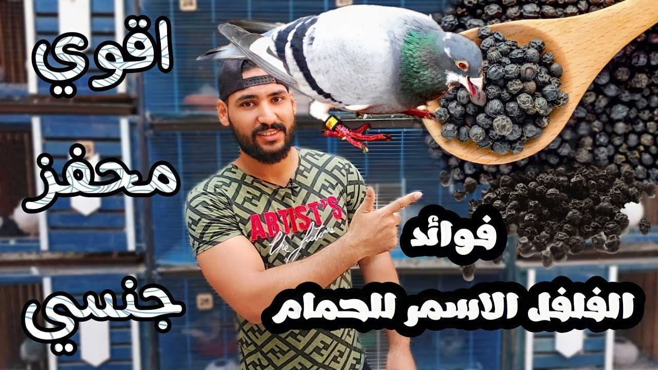 فوائد الفلفل الاسود للحمام وطريقة استخدامه كأقوي محفز جنسي للذكور والاناث
