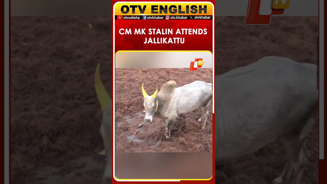 CM MK Stalin Attends World-Famous Jallikattu In Tamil Nadu