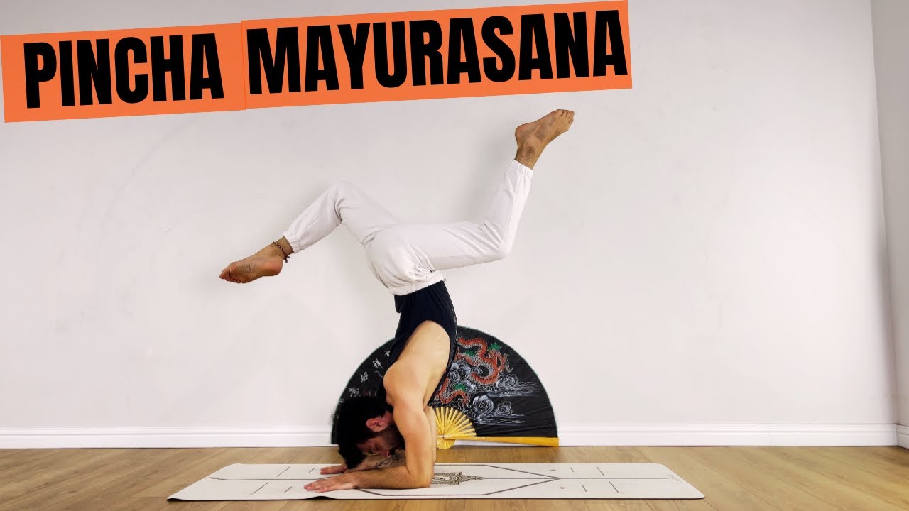 Asanalarda Sıçramalar-4 | Pincha Mayurasana | Orta Seviye Yoga Pratiği