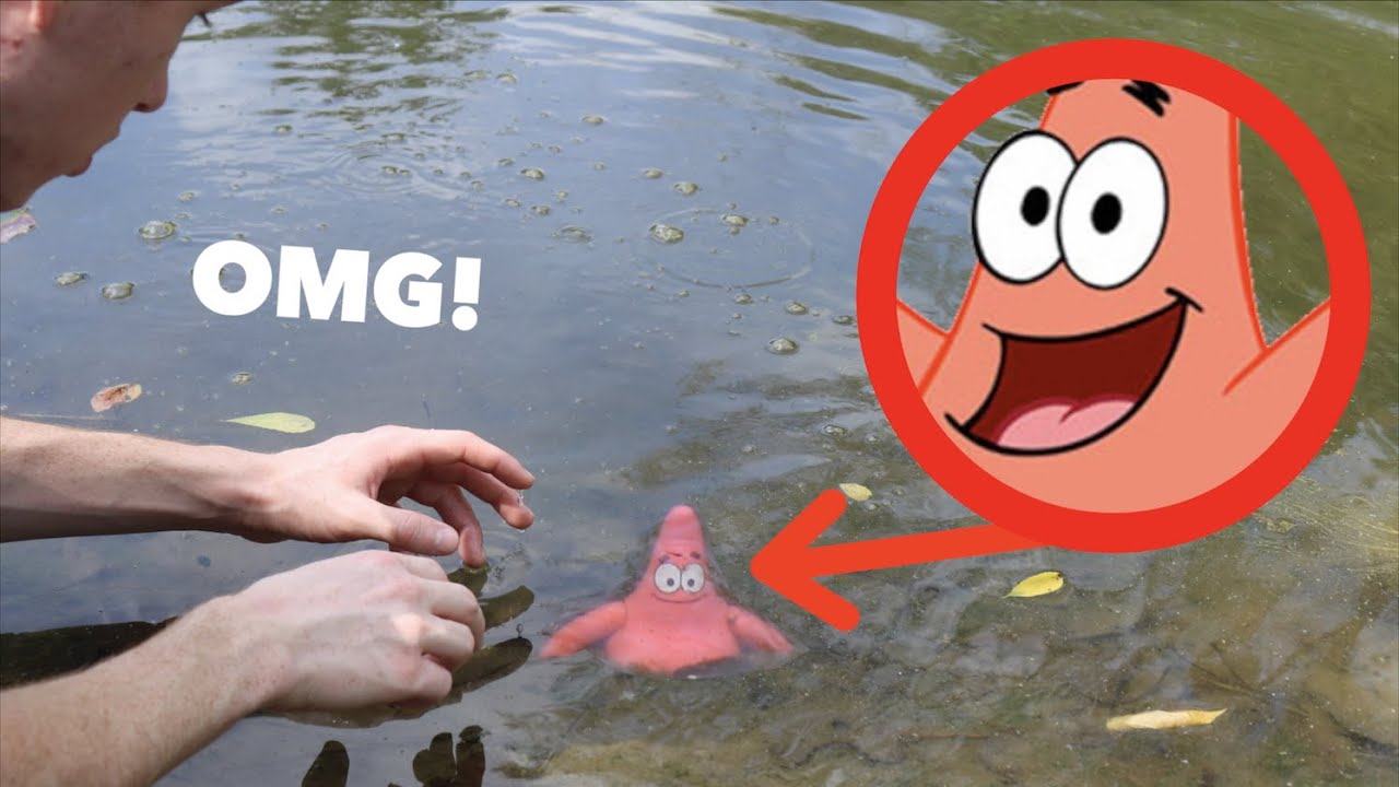 I CAPTURED PATRICK IN REAL LIFE!