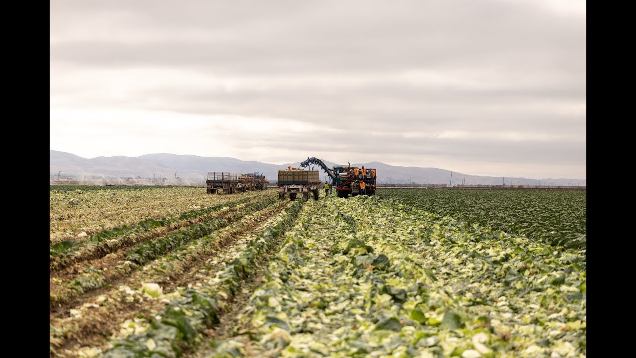 International Fresh Produce Association Highlight