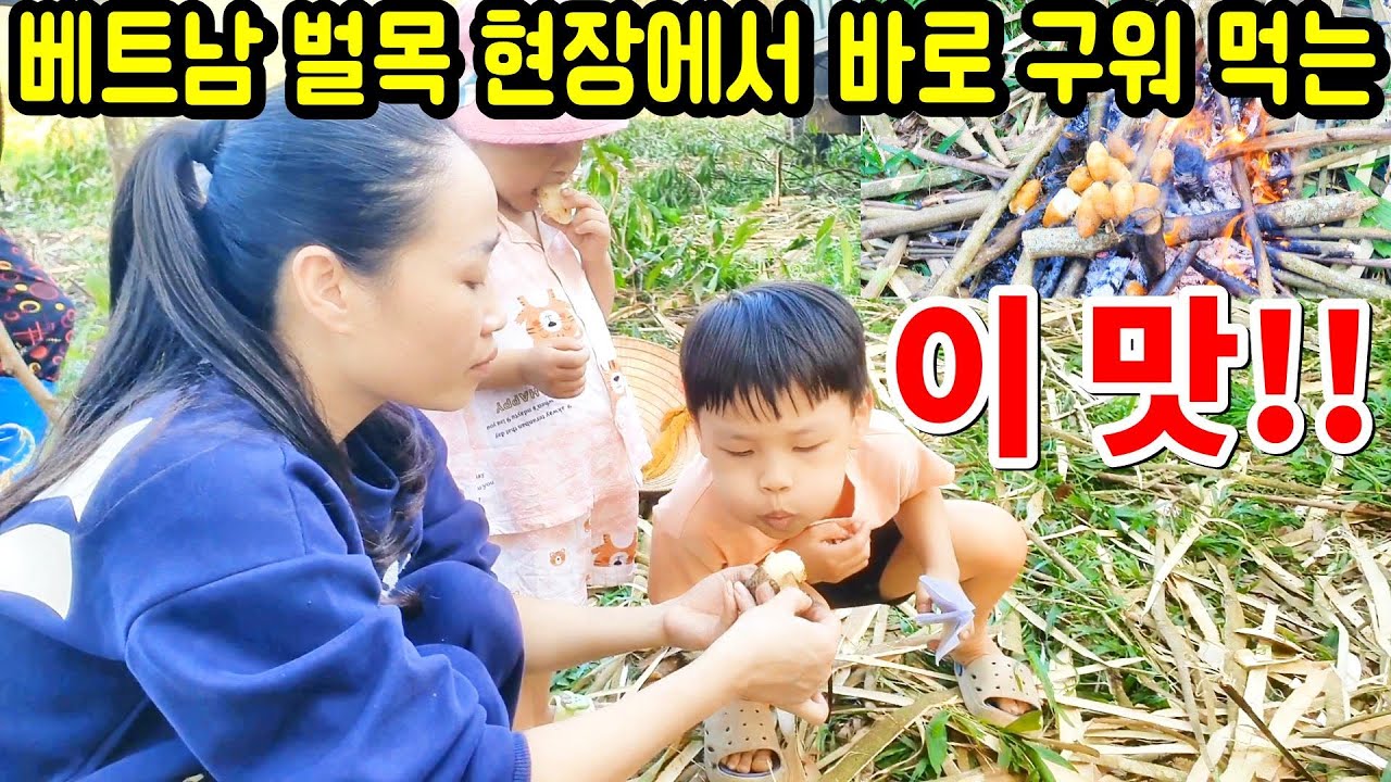 산에서 장작불 피워 놓고 호호~ 불며 먹는 이것!! #베트남 #베트남국제결혼 #베트남시골