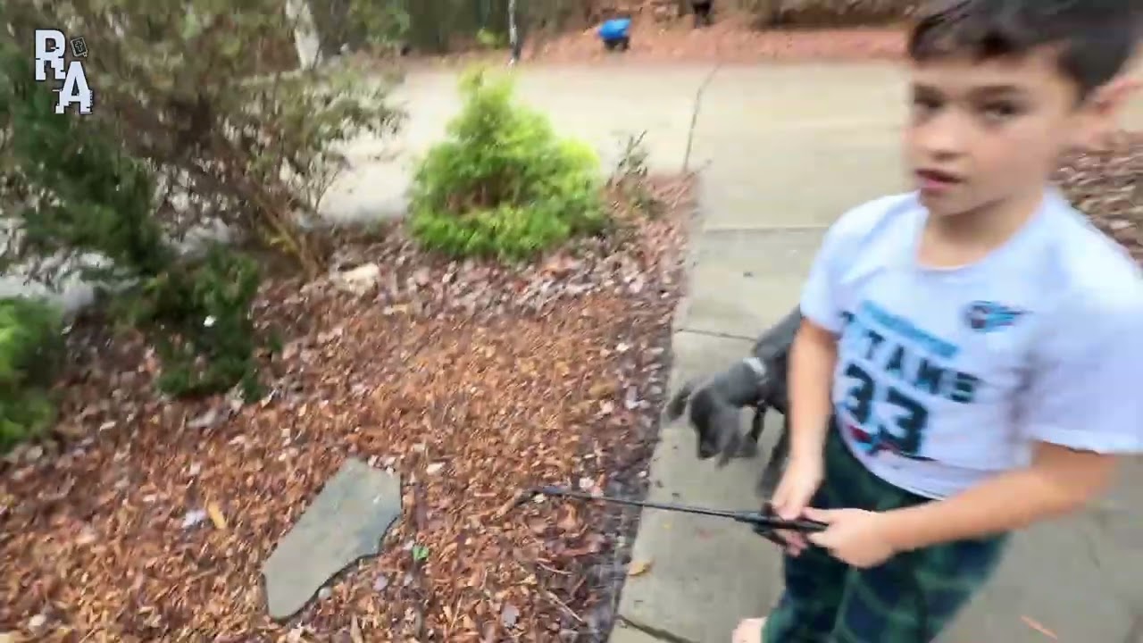 DIY Weed Spray Safe for Garden and cheap