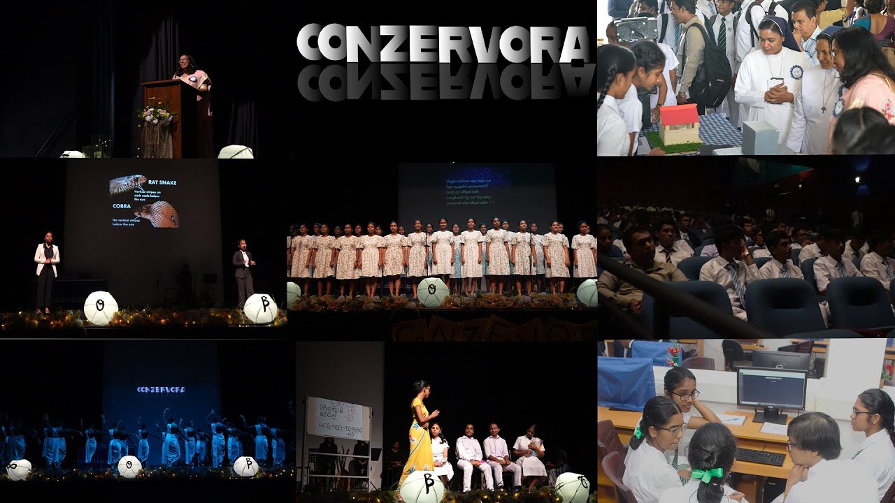 SCIENCE   DAY