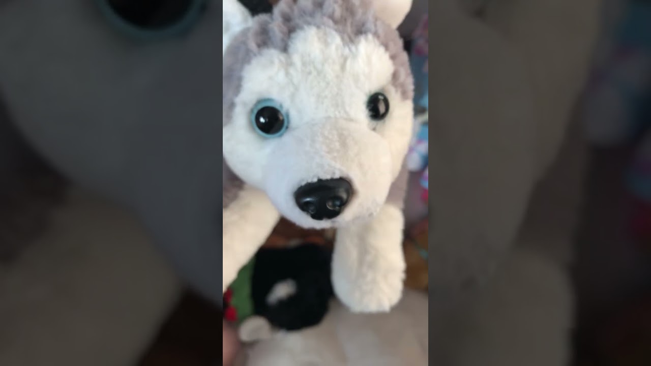 Finding all of my f a o schwarz  dog stuff  animals  