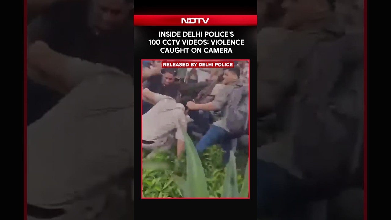 Inside Delhi Police's 100 CCTV Videos: What The Footage Shows From July Protest