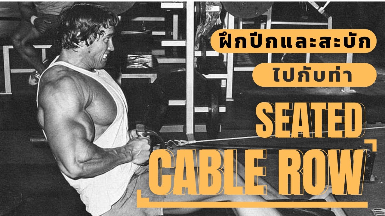 ฝึกปีกและสะบักไปกับท่า seated cable row