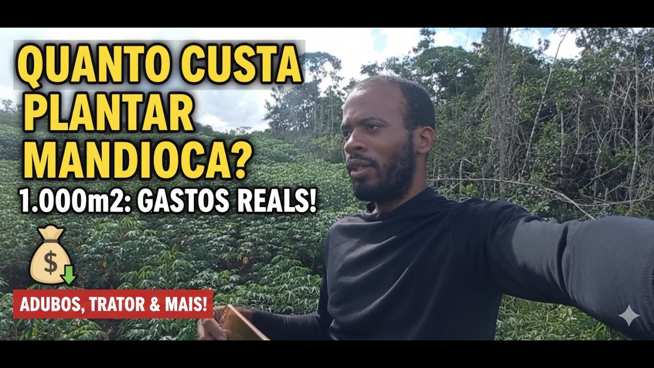 PREÇO REAL: Tudo o que gastei para plantar Mandioca no meu sítio!