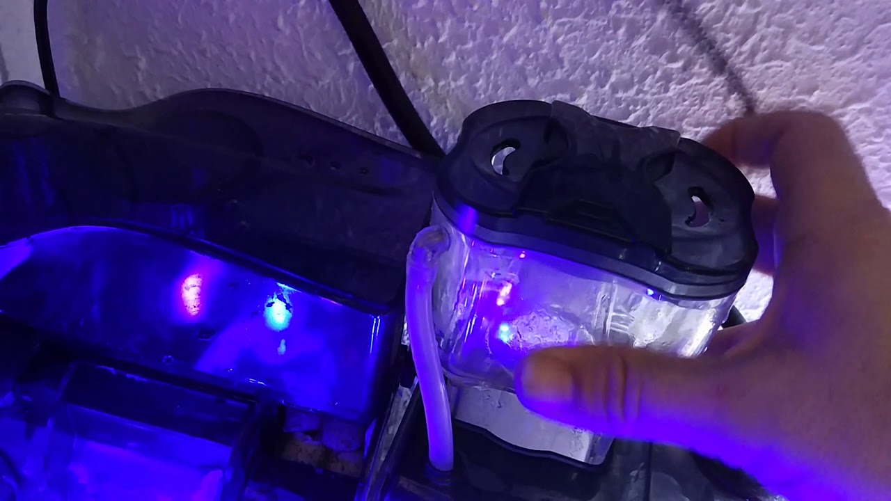 Acuario Marino Hydra 80: Duelo de Skimmer