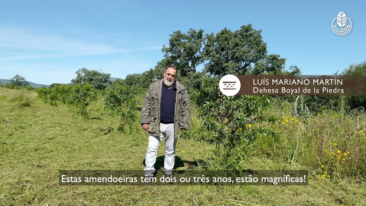 29. Manutenção cobertura do solo | Mantenimiento cobertura de suelo