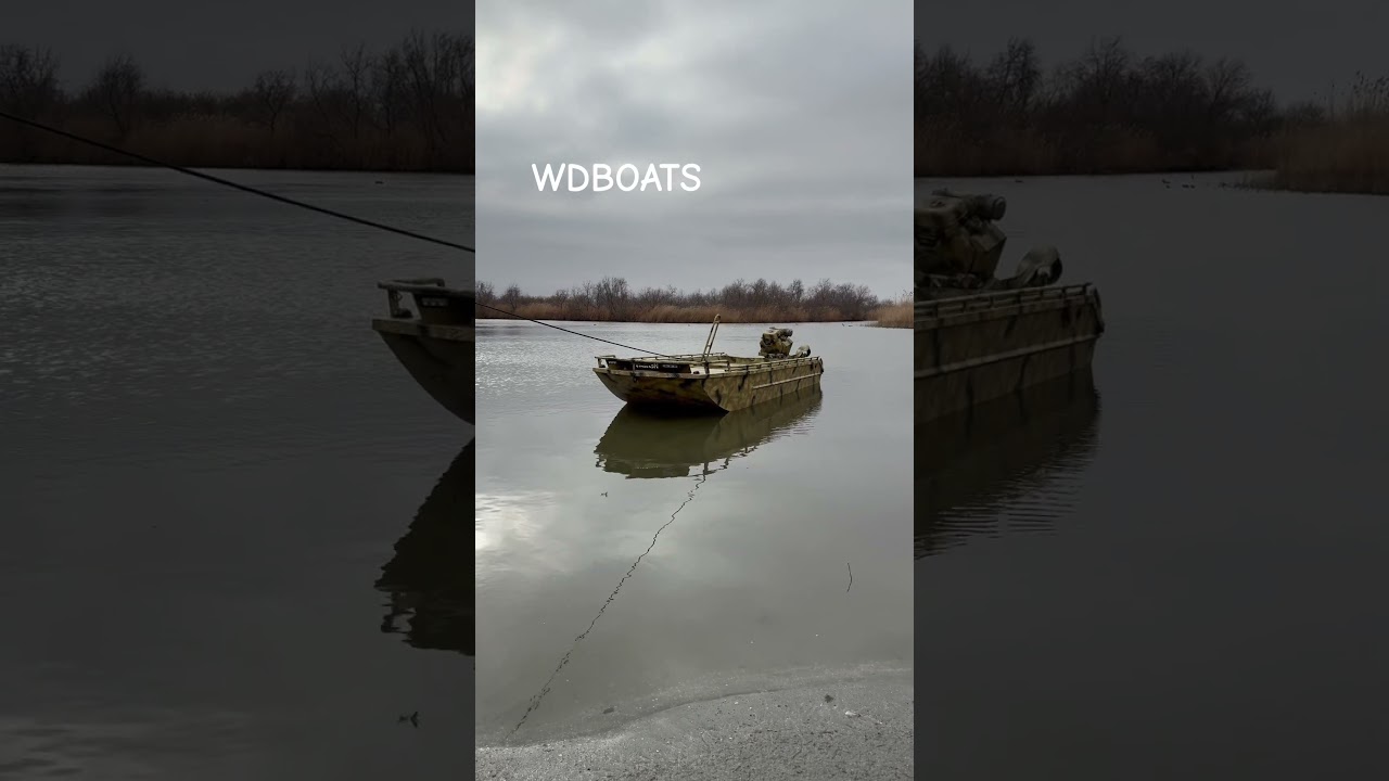WILD DUCK🦆2024🦆WDBOATS #wildduck #duckhunter #hunter #hunting #wildduck2020 #WD #huntingclub