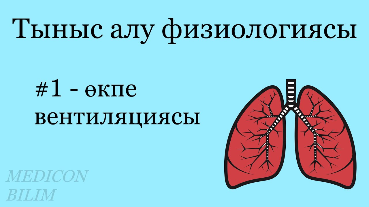 Тыныс алу физиологиясы. Өкпе вентиляциясы | Физиология дыхания | Физиология курсқа тіркелу👇