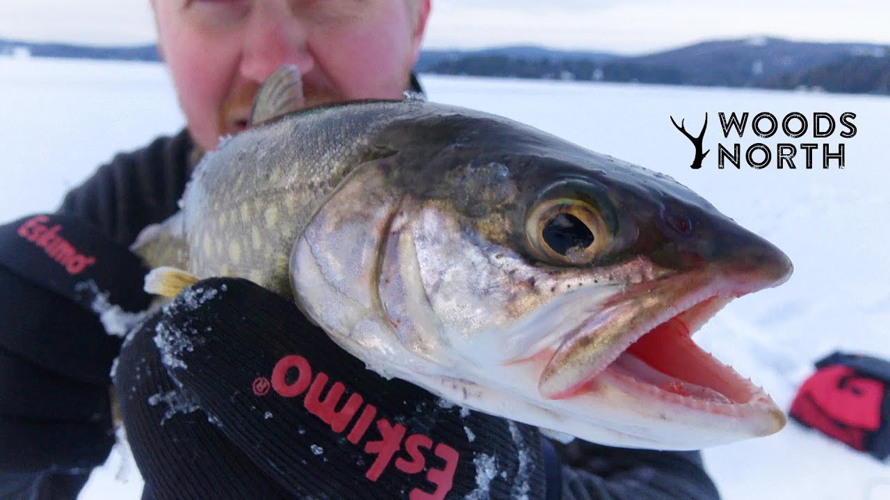 Jigging for LAKE TROUT in Vermont! ICE FISHING 2024