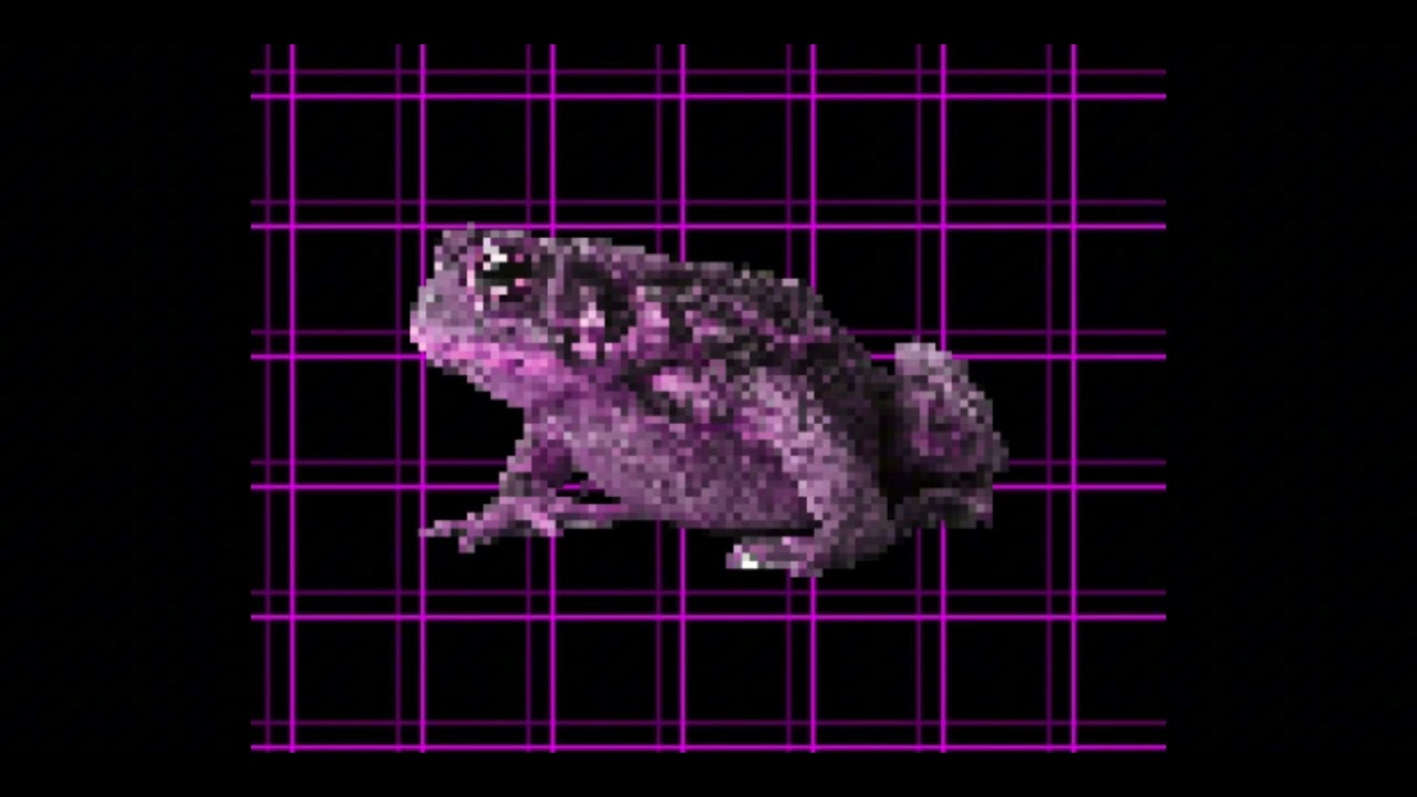 Toad Buster