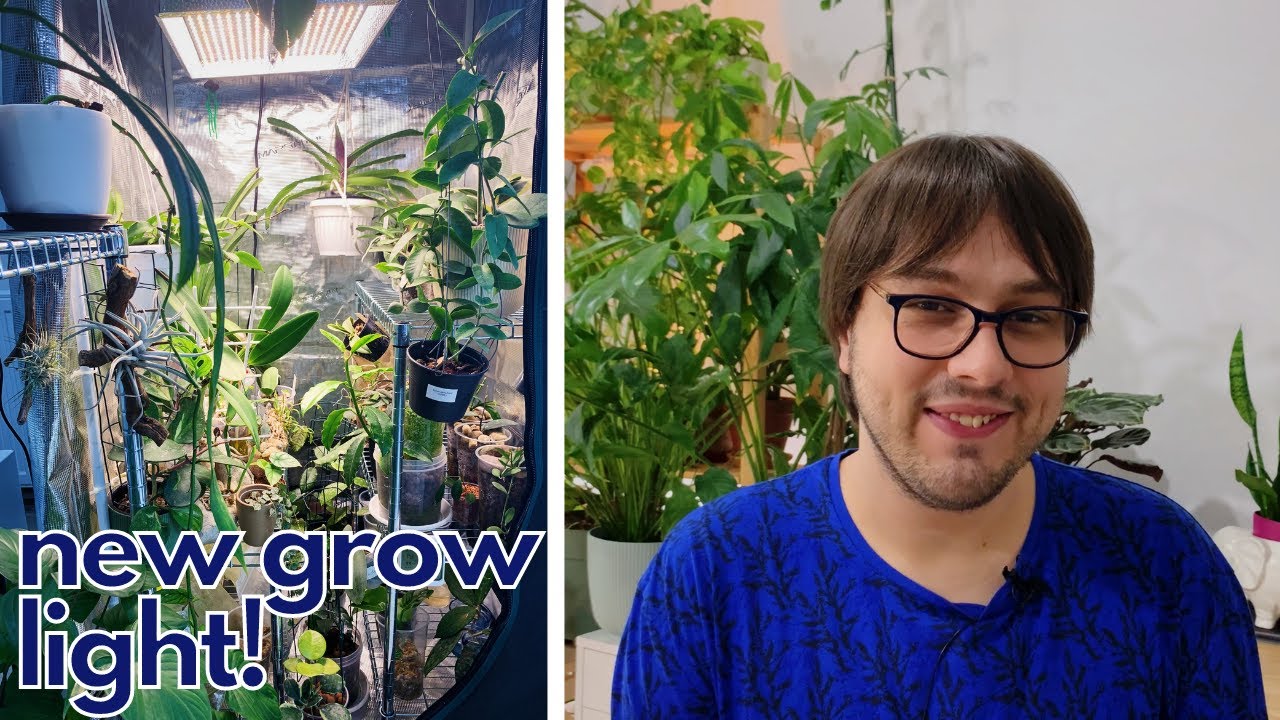 Освещение для комнатных растений и экскурсия по гроу-палаткам | Будут ли они иметь значение?