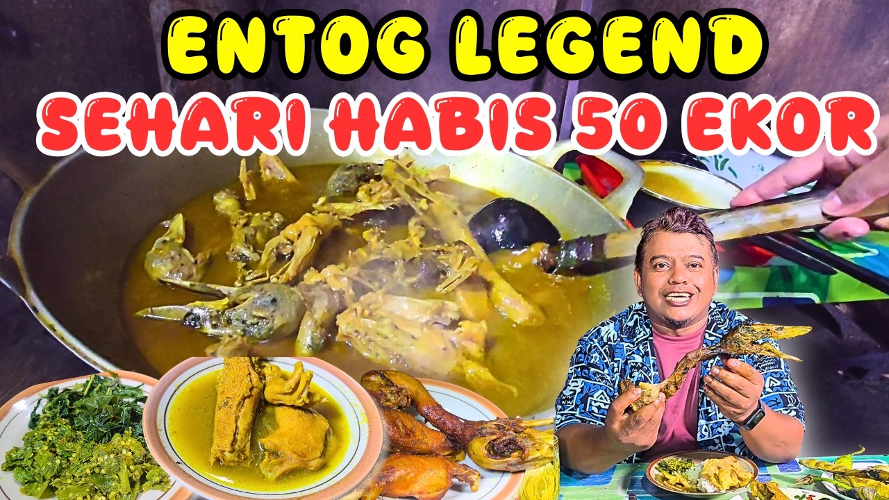 GILA! 50 EKOR HABIS DALAM SEHARI? OPOR DAN ENTOG  GORENG PALING EMPUK DI WONOSOBO