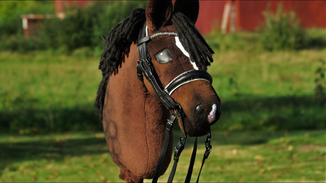 Sew a double bridle